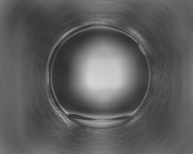 X0000083990940200702232107