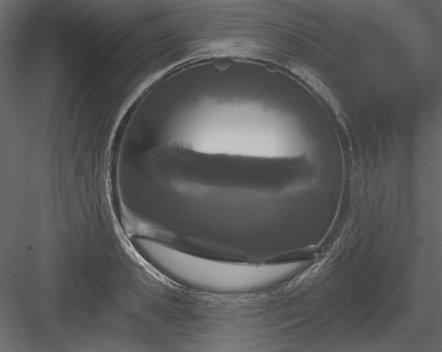 X0000083990941200702232107