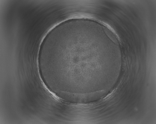 X0000083990943200702232107