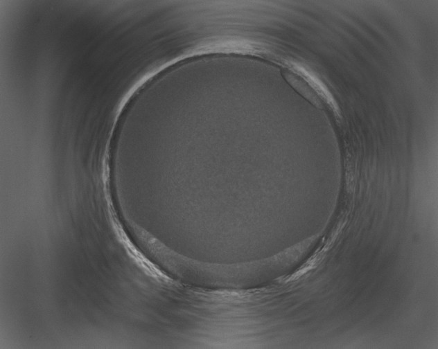 X0000083990944200702232107