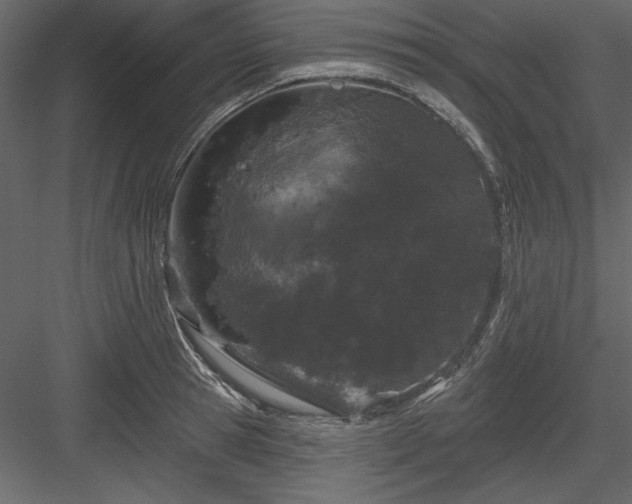 X0000083990945200702232107