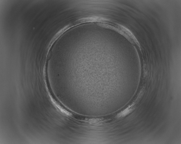 X0000083990946200702232107