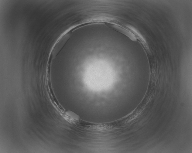 X0000083990948200702232107