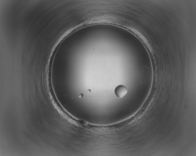 X0000083990949200702232107