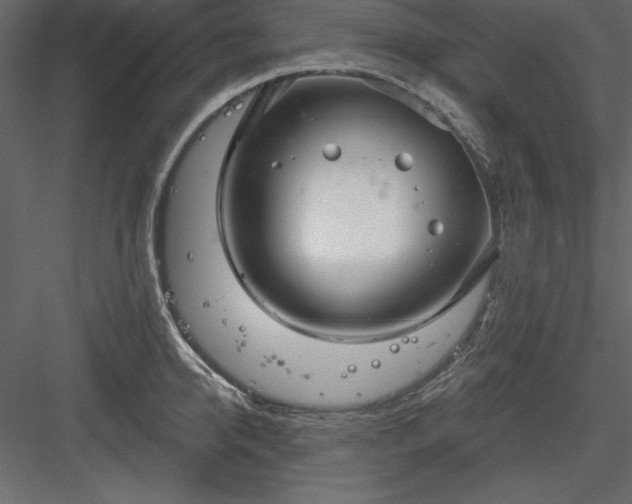 X0000083990950200702232107