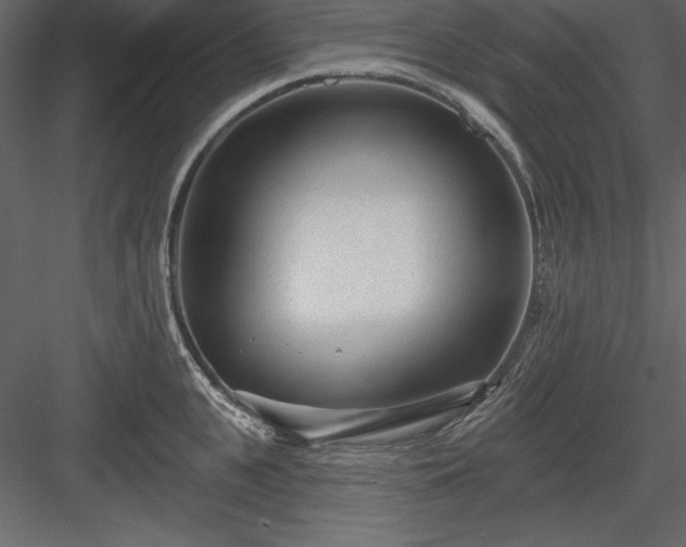 X0000083990951200702232107