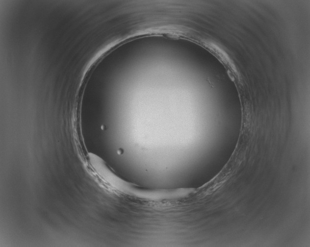 X0000083990952200702232107