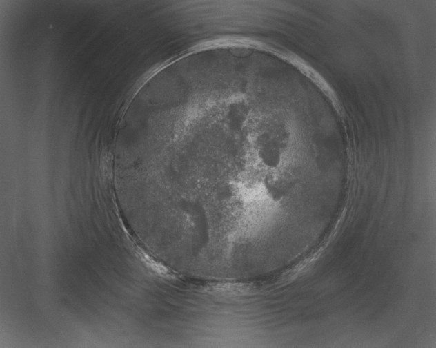 X0000083990953200702232107