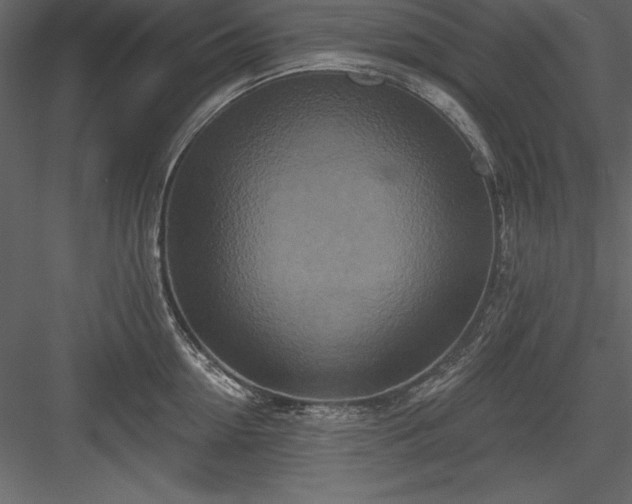 X0000083990954200702232107