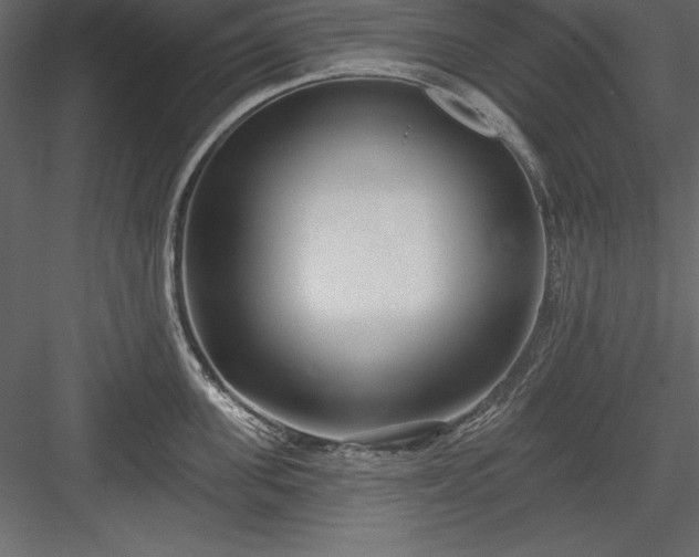 X0000083990955200702232107