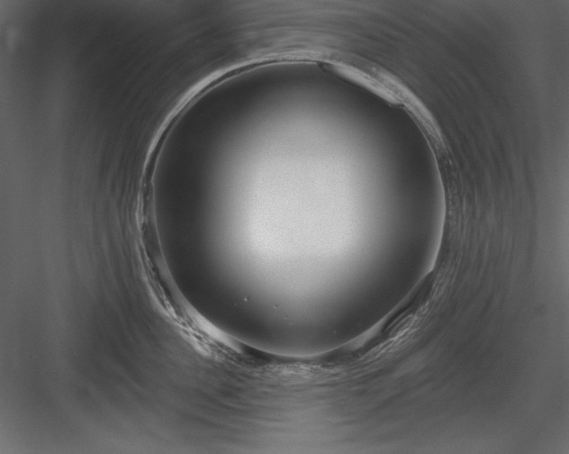 X0000083990956200702232108