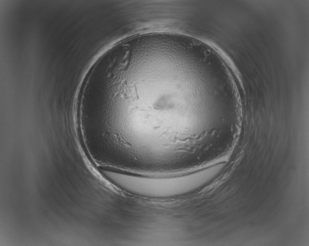 X0000083990957200702232108