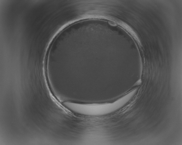 X0000083990958200702232108