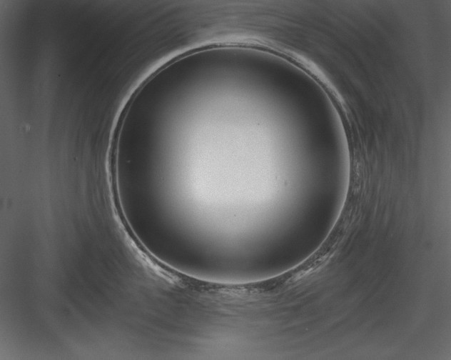 X0000083990959200702232108