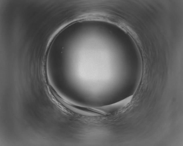 X0000083990960200702232108