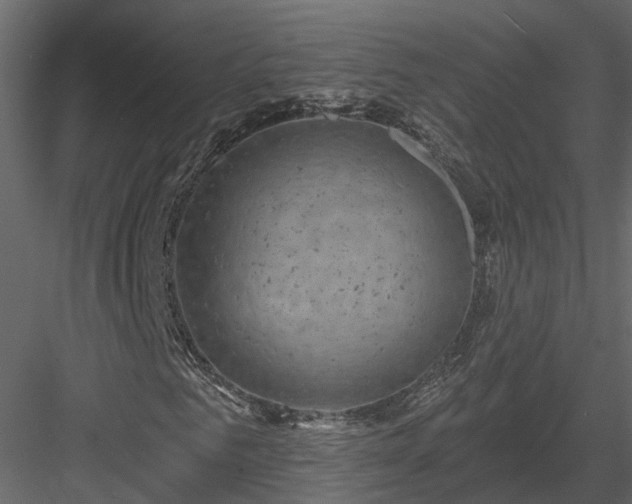 X0000083990961200702232107