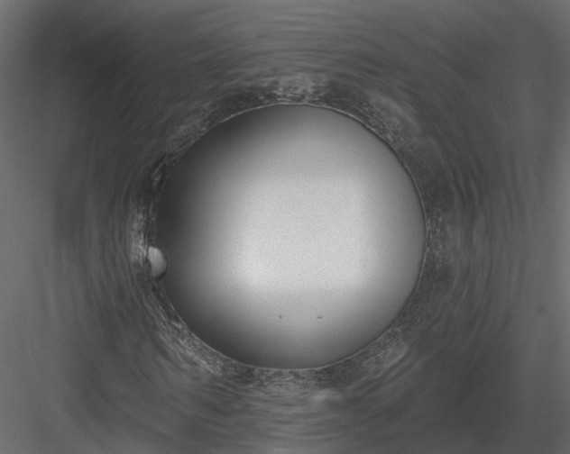 X0000083990962200702232107