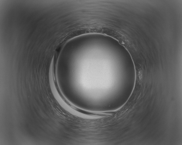 X0000083990963200702232107