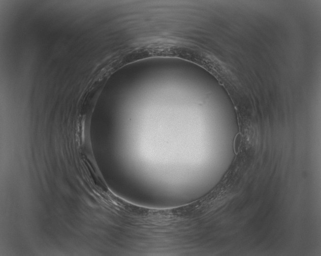 X0000083990964200702232107