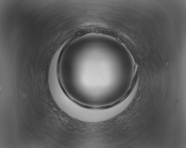 X0000083990965200702232107