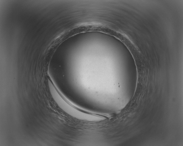 X0000083990967200702232107