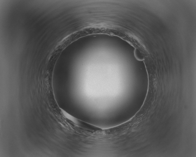 X0000083990968200702232107