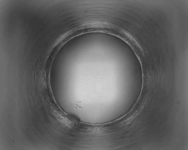 X0000083990970200702232107