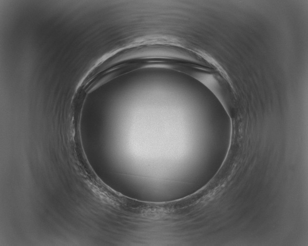 X0000083990973200702232107