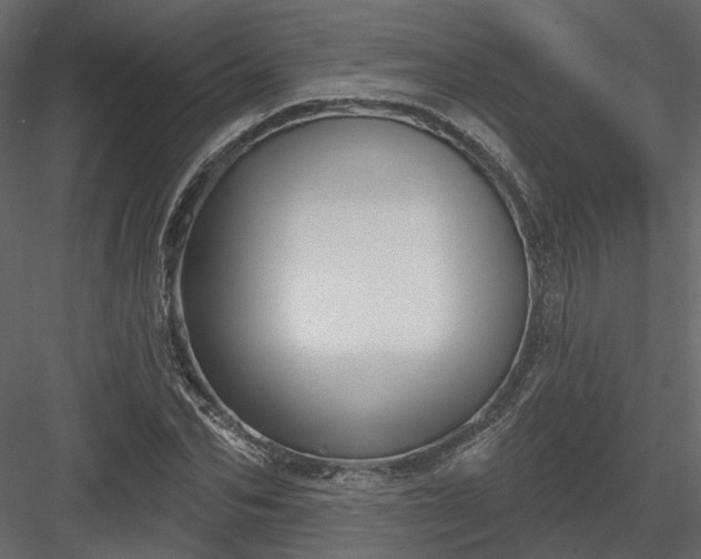 X0000083990974200702232107