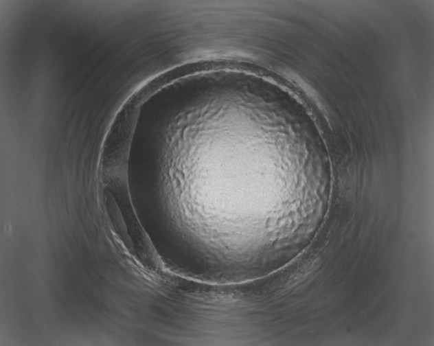 X0000083990975200702232107