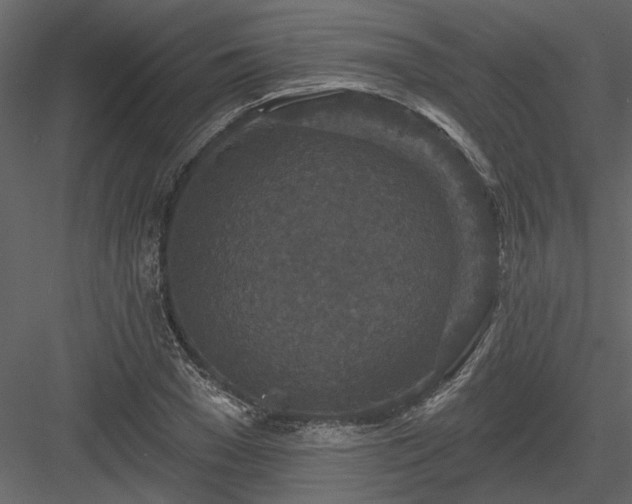 X0000083990977200702232106