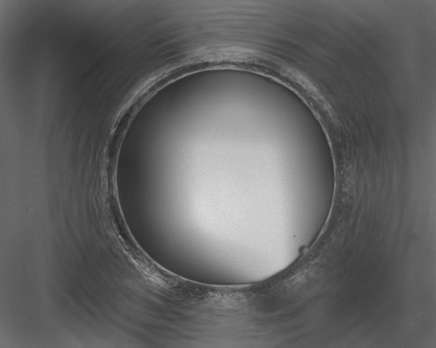 X0000083990978200702232106