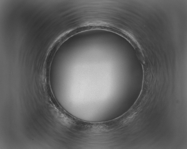 X0000083990979200702232106