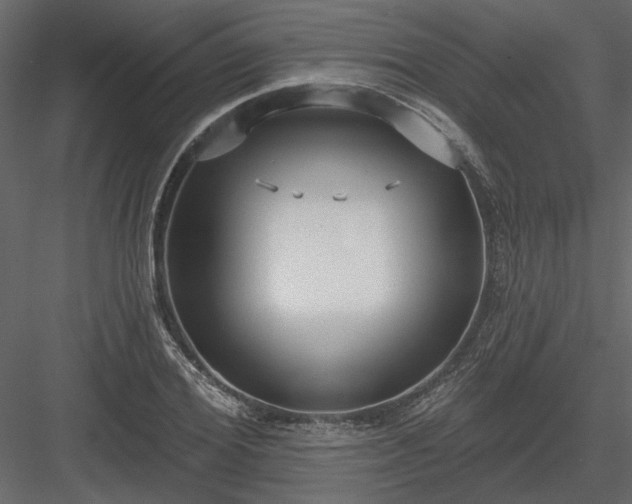 X0000083990980200702232106