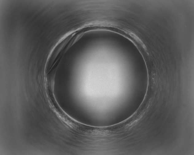 X0000083990981200702232106