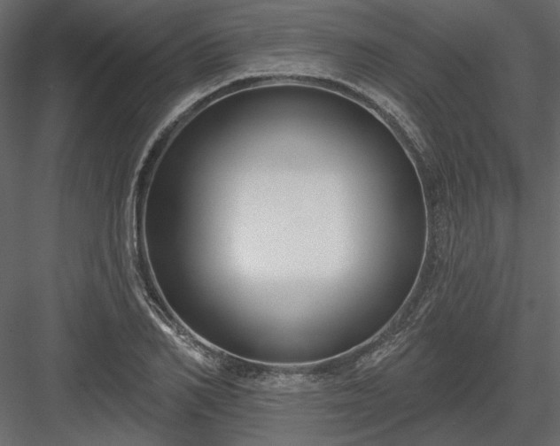 X0000083990982200702232106