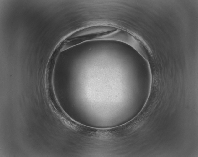 X0000083990983200702232106