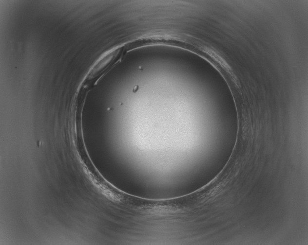 X0000083990984200702232106