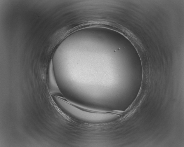 X0000083990985200702232106