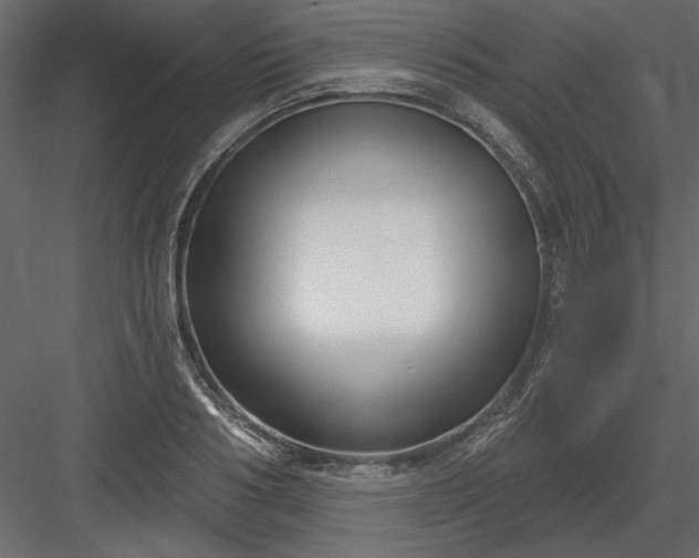 X0000083990986200702232106