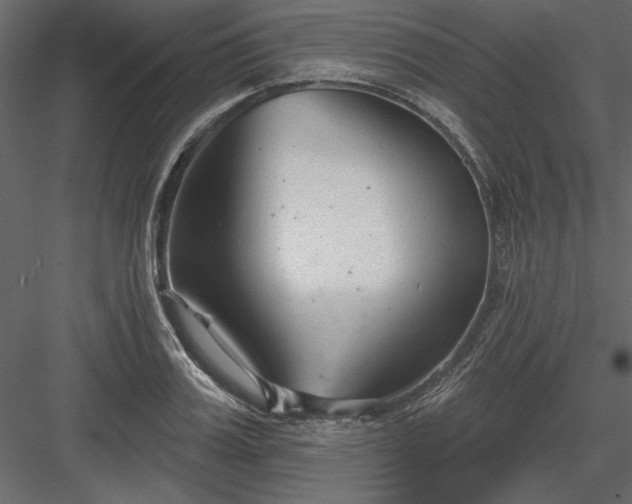 X0000083990987200702232106