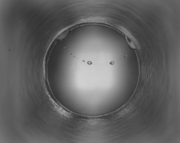 X0000083990988200702232106