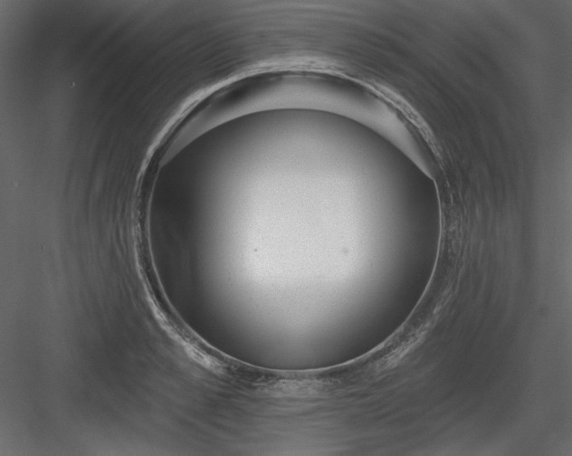 X0000083990989200702232106