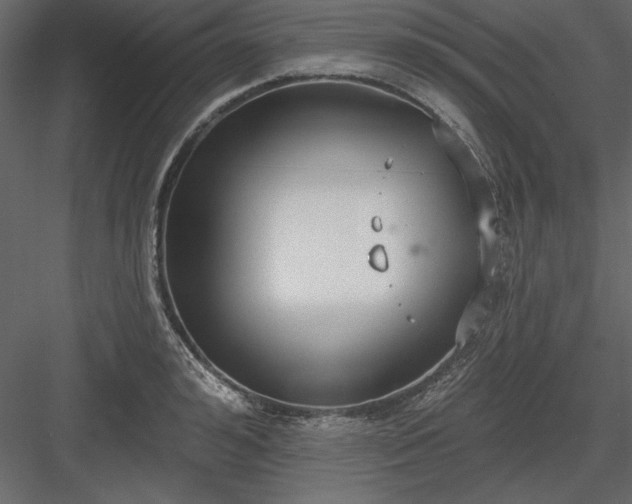 X0000083990992200702232106