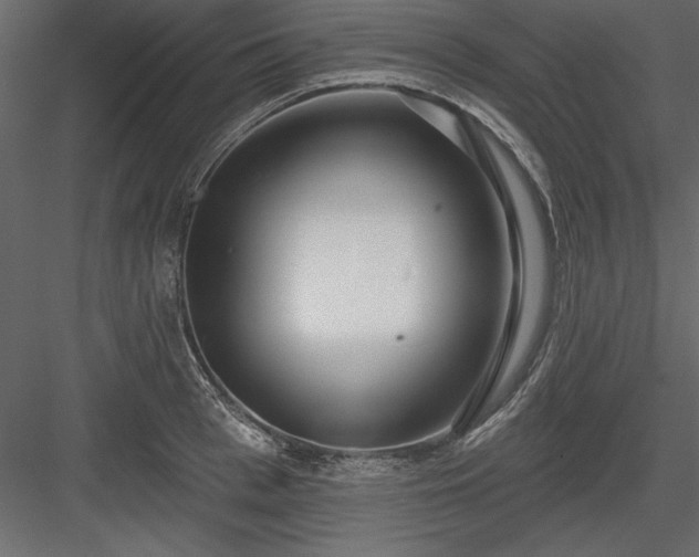 X0000083990993200702232106