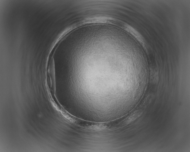 X0000083990994200702232106