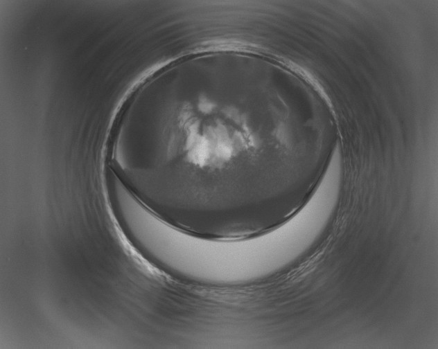 X0000083990995200702232106