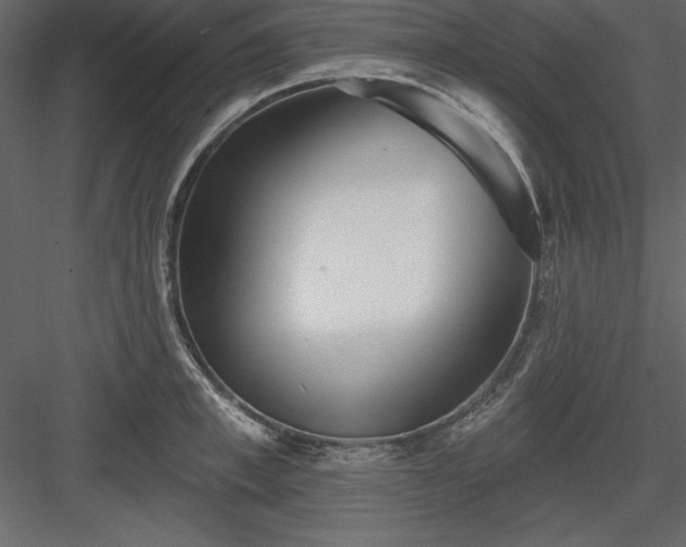 X0000083990997200702232106