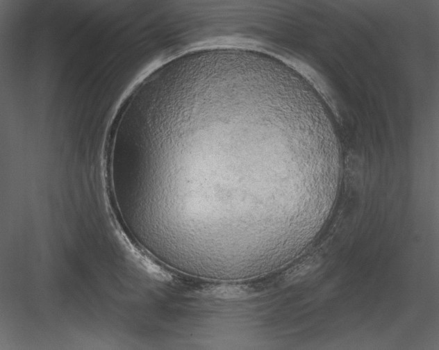 X0000083990998200702232106