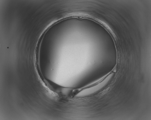 X0000083990999200702232106